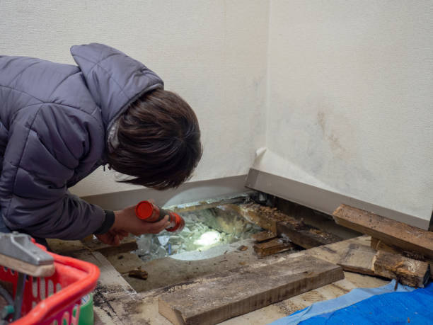 Best Biohazard Mold Removal  in Boynton Beach, FL