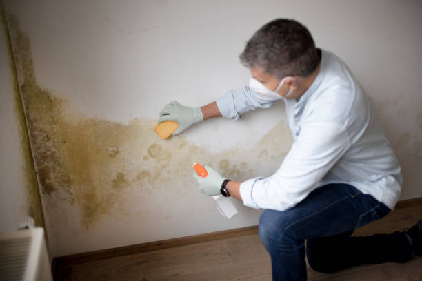 Best Water Damage & Mold Remediation  in Boynton Beach, FL